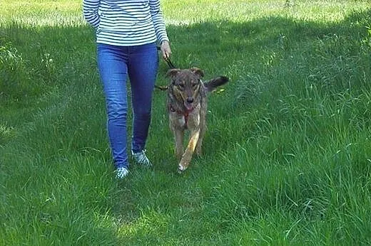 Wesoły, przyjazny i wiecznie uśmiechnięty Bajtel d