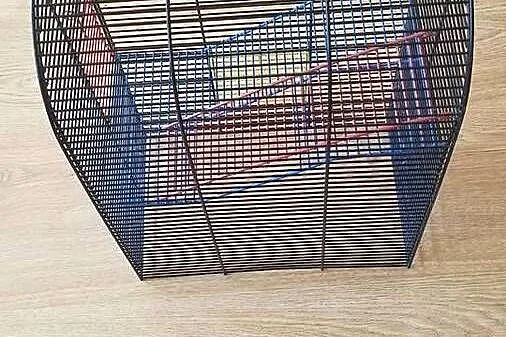 Klatka dla gryzoni 360/280/180mm 2x wejście + drabinki, Podlaskie, Białystok