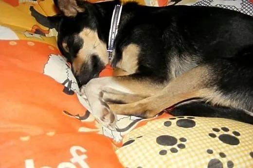 Tunia ciągle czeka ...,  małopolskie Kraków