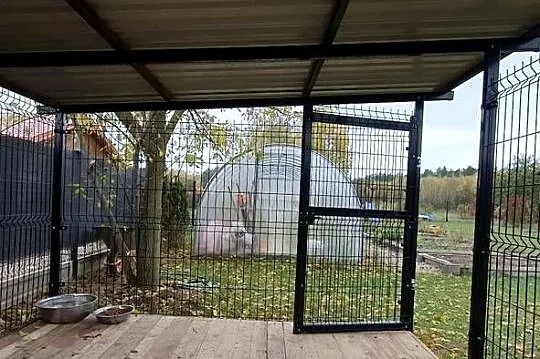 Duży kojec dla psa z buda, Lubelskie, Łuków