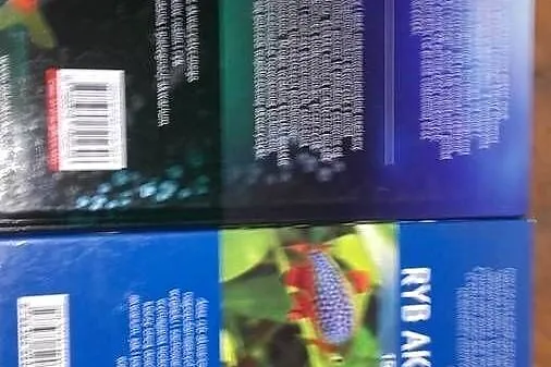 Akwarium - Akwarium moja pasja, Atlas ryb akwariowych, Łódzkie, Łódź
