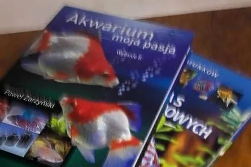 Akwarium - Akwarium moja pasja, Atlas ryb akwariowych, Łódzkie, Łódź