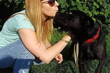 Salvo średni, czarny, wesoły przyjaciel - do adopc