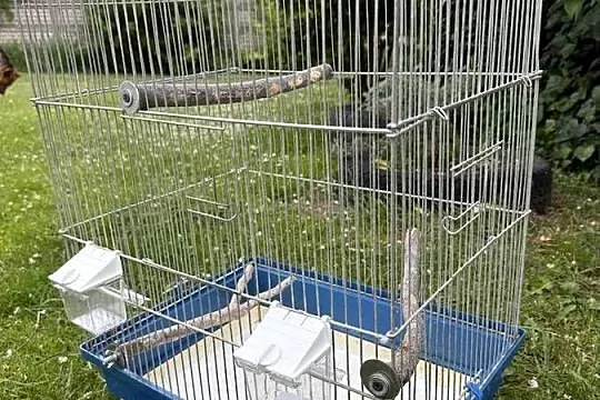 Używana klatka dla ptaków, Śląskie, Częstochowa