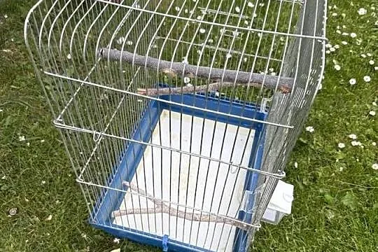Używana klatka dla ptaków, Śląskie, Częstochowa