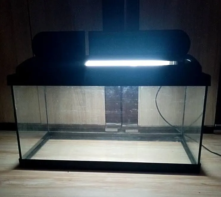 Akwarium 54L Aquastar z oświetleniem, Warmińsko-mazurskie, Elbląg