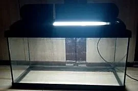 Akwarium 54L Aquastar z oświetleniem