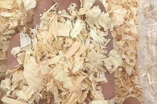 Ściółka dla koni, trociny, wióry odpylone 20kg / kurier, Podlaskie, Białystok
