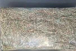 siano - duża paczka 800g