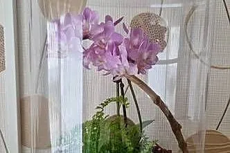 Terrarium z wentylacją 21x35cm - bezpieczna tuba - owady, pająki, płazy, Śląskie, Tychy