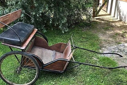 Dwukółka dla kuca lekka i wygodna, super okazja +kompletna uprząż ( opcjona, Lubelskie, Włodawa