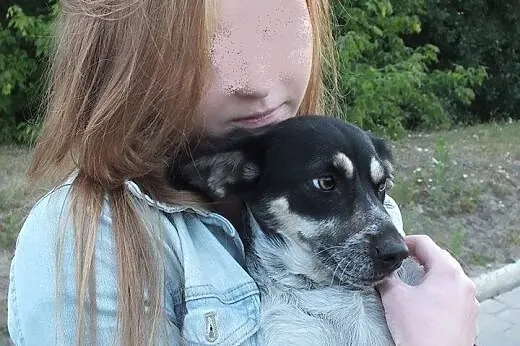 FRASZKA nieduża, urocza, do pokochania od zaraz!, 