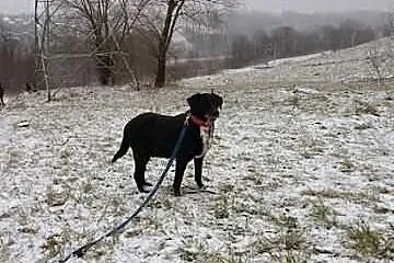 Kto polubi Tropika