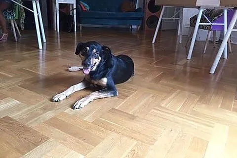 Borys sama słodycz pokochaj chłopaka,  mazowieckie