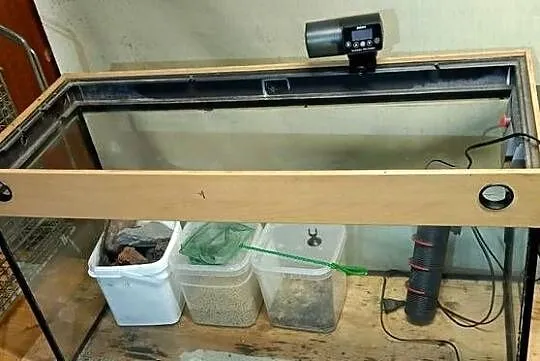 Akwarium 200l 100x40x50 z wyposarzeniem: pompki, filtr, karmnik, pokrywa, l, Lubuskie, Lubsko