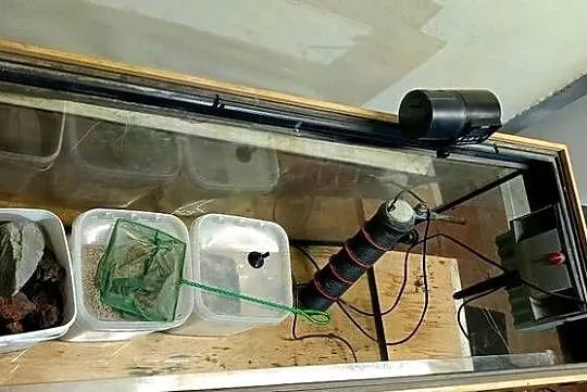 Akwarium 200l 100x40x50 z wyposarzeniem: pompki, filtr, karmnik, pokrywa, l, Lubuskie, Lubsko