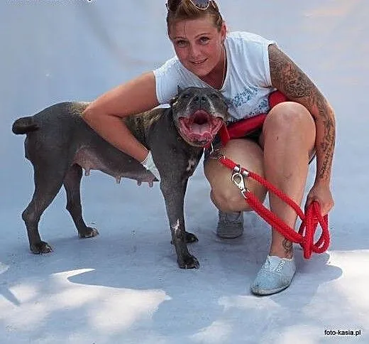 Wyjątkowa, proludzka HELENKA do adopcji., mazowie