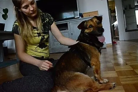 Macho-maly przyjaciel i obronca,  mazowieckie Nasi