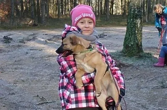Lili- kilkumiesięczne psie dziecko bardzo płacze w