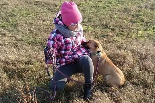 Lili- kilkumiesięczne psie dziecko bardzo płacze w