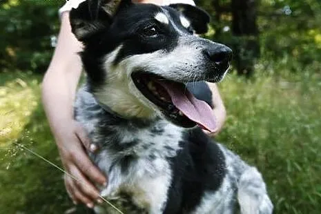 Lopez tyle czeka, daj mu szansę...,  mazowieckie W