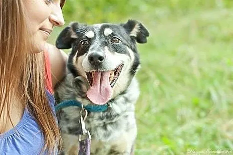 Lopez tyle czeka, daj mu szansę...,  mazowieckie W