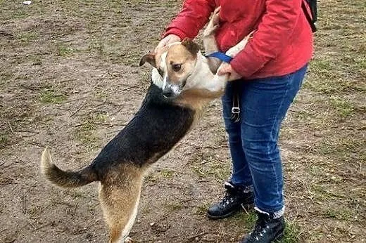 Matrioszka bardzo kocha ludzi daj jej cudowny dom 