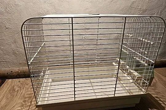 klatka dla ptaków kanarek zeberka 2 sztuki, Wielkopolskie, Kalisz