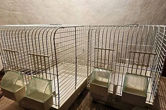 klatka dla ptaków kanarek zeberka 2 sztuki, Wielkopolskie, Kalisz