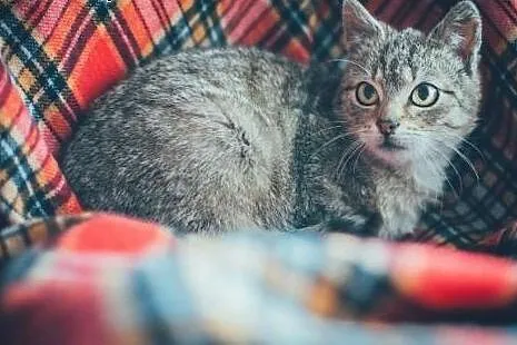 8 mies. NADIA - po ŚMIERCI opiekunki wraca na ULIC