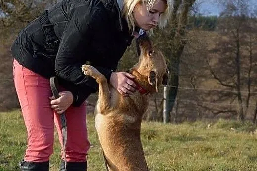 Ruda i jej niegasnąca radość i miłość do człowieka
