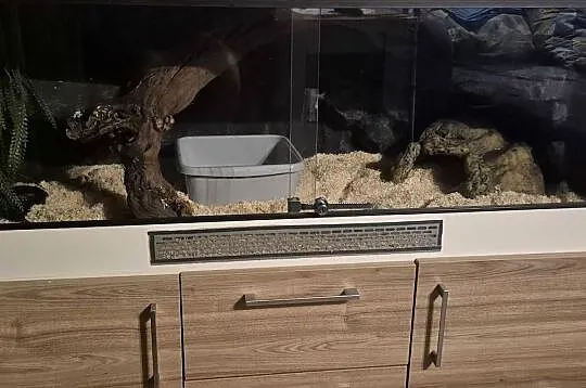 Terrarium