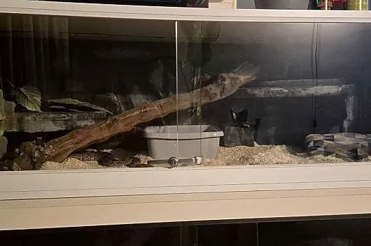 Terrarium, Świętokrzyskie, Starachowice
