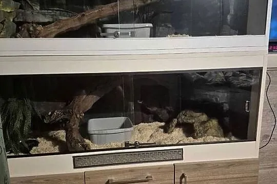 Terrarium, Świętokrzyskie, Starachowice