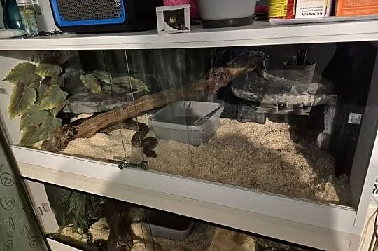 Terrarium, Świętokrzyskie, Starachowice