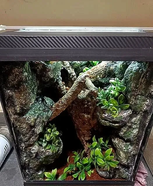 Terrarium 35x35x55 - dla gekona z wyposażeniem, Wielkopolskie, Ostrów Wielkopolski