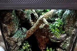Terrarium 35x35x55 - dla gekona z wyposażeniem
