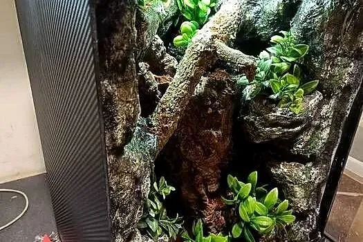 Terrarium 35x35x55 - dla gekona z wyposażeniem, Wielkopolskie, Ostrów Wielkopolski