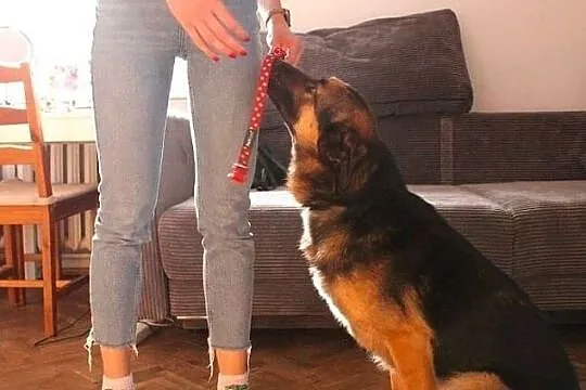 Borys to fajny gość powiedz jego smutkom dość! :), Łódzkie, Łódź