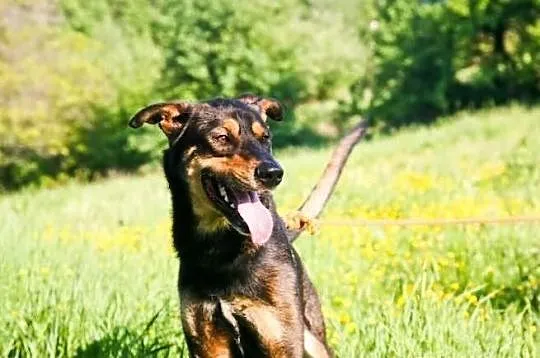 Szalony Adaś dla aktywnych:)
