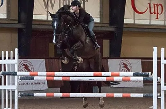 Sprzedam doświadczoną klacz, , 