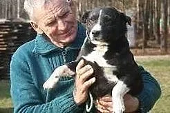 Frodo od 9 lat czeka w schronisku aż ktoś go pokoc