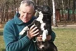 Frodo od 9 lat czeka w schronisku aż ktoś go pokoc