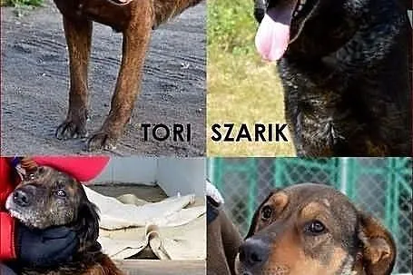 Znajdź przyjaciela w Tomarynach! :)