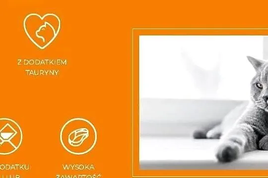 BUTCHERS Karma dla kota bez zbóż PSTRĄG saszetka 10 x 100g, Opolskie, Strzelce Opolskie