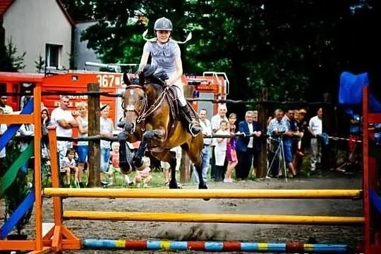Biga Klacz źrebna z super pochodzeniem! POLECAM!