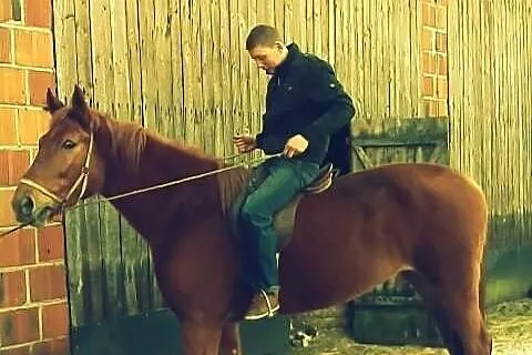 Sprzedam kasztankę
