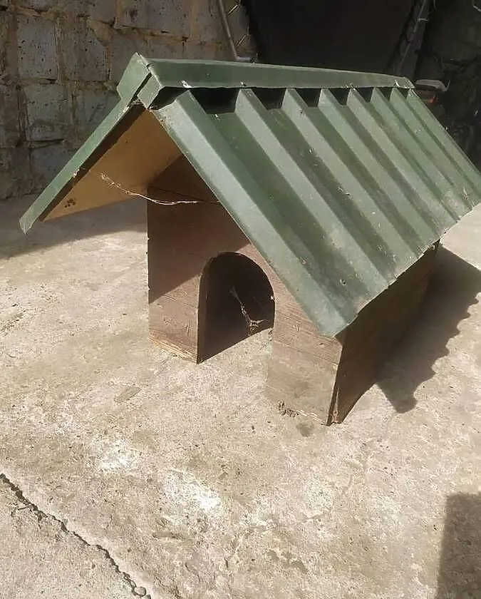 Buda dla małego pieska, Podkarpackie, Nienadówka