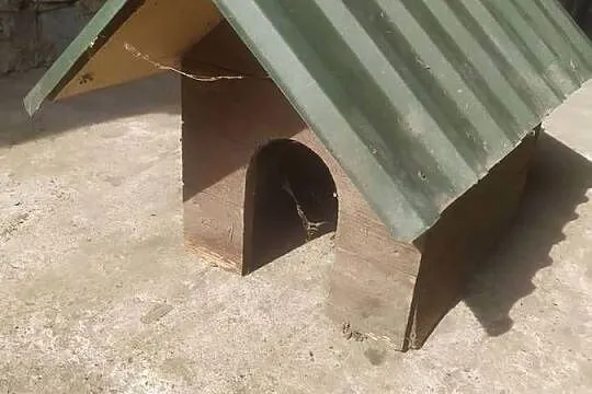 Buda dla małego pieska, Podkarpackie, Nienadówka