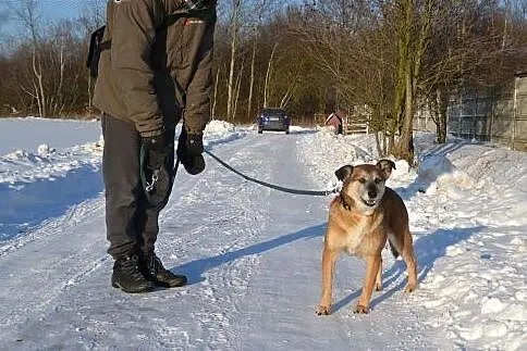 Madam-delikatna, pokorna, spokojna - sunia idealna